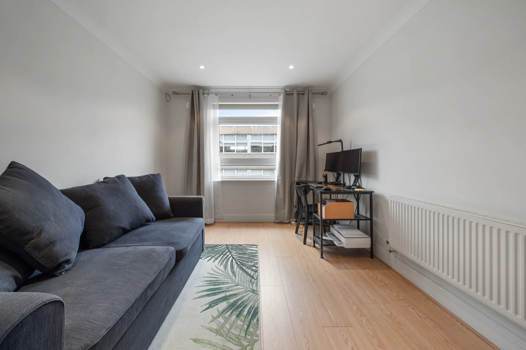 Reception room with a sofa, rug and large window
