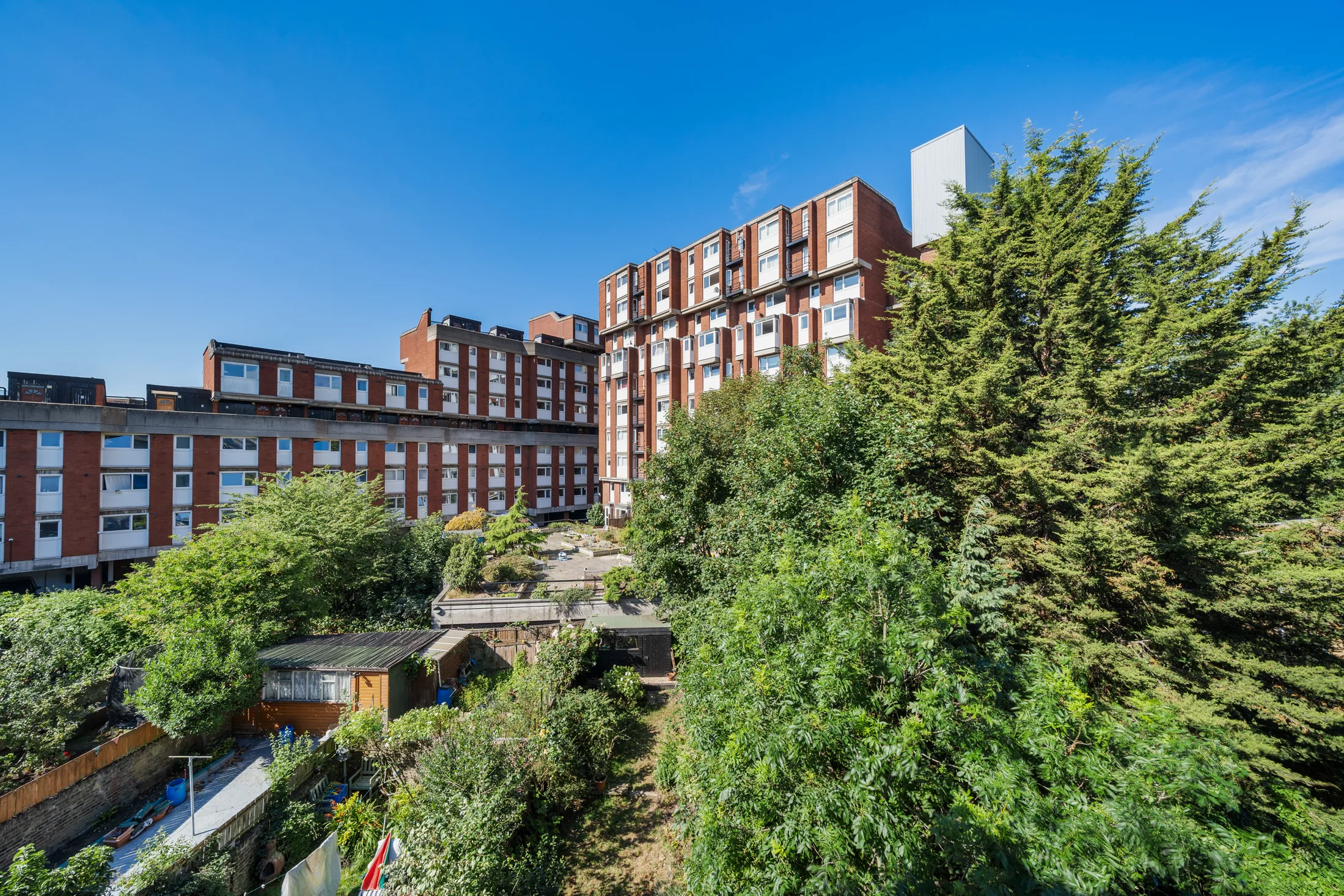 View from the property across trees and surrounding buildings