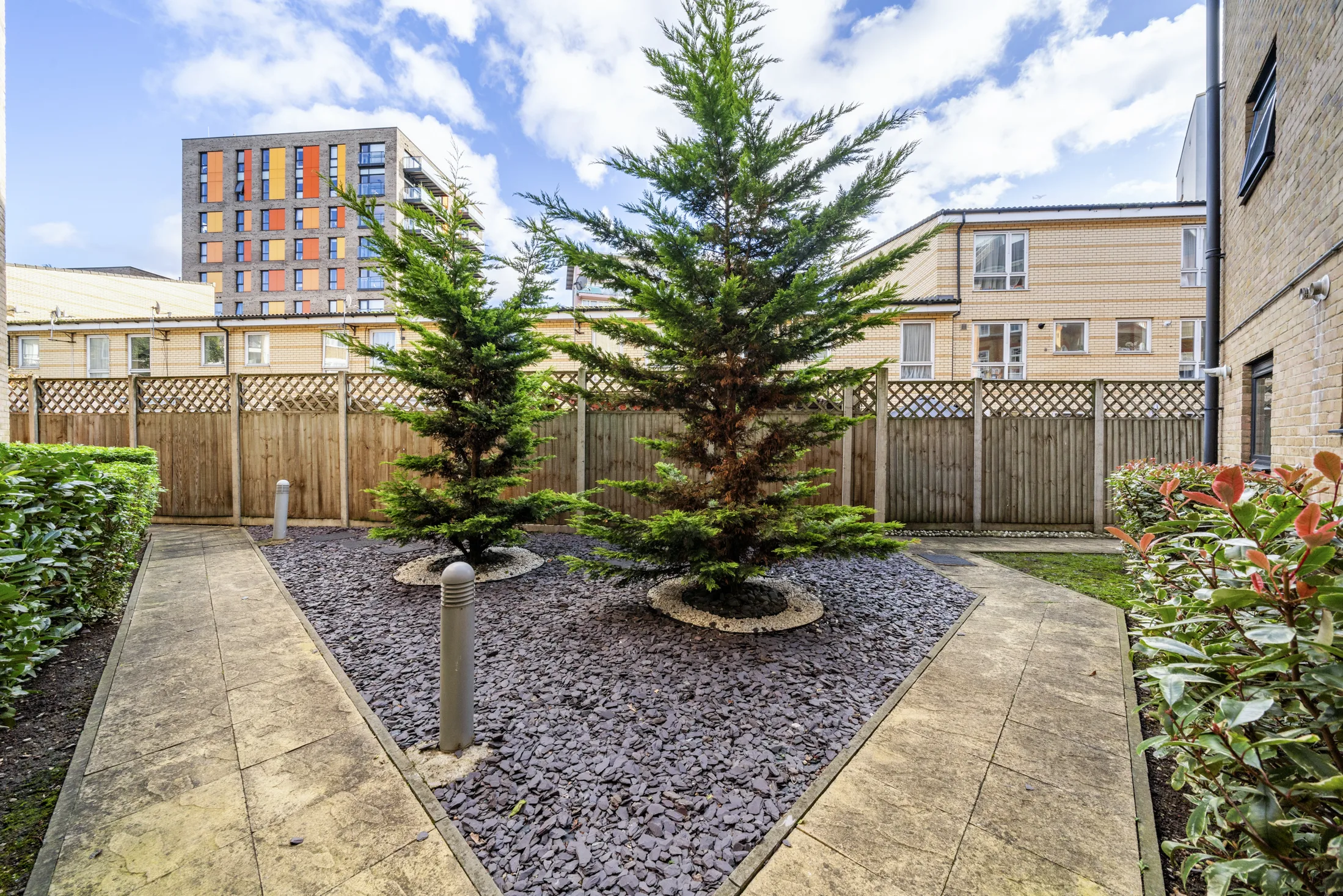 Shared garden with lawn and planted borders